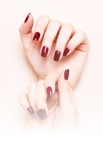 A La Carte - Nail Salon 89502